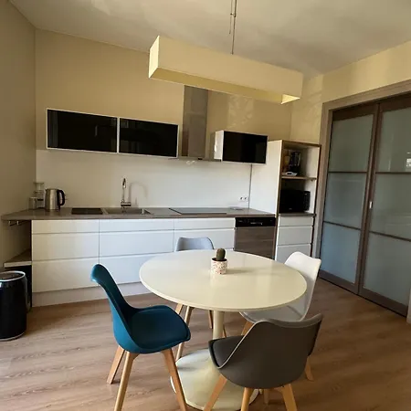 Grand T1bis Centre Aix-les-bains, 2 Pers - Fr-1-555-108 Appartement *